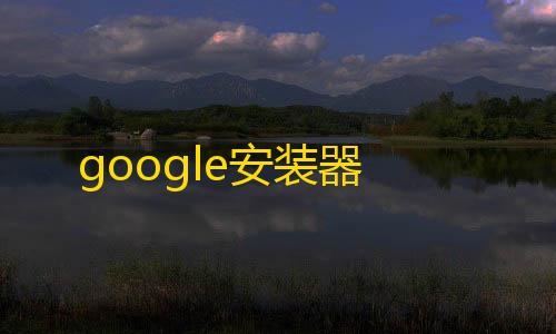 黑悟空免费下载手机版google安装器